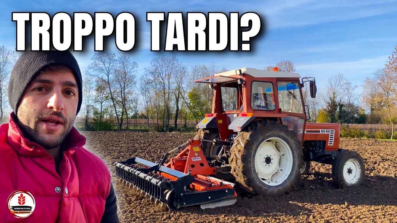 SEMINA GRANO 🌾 | Prepariamo il letto di semina per il frumento
