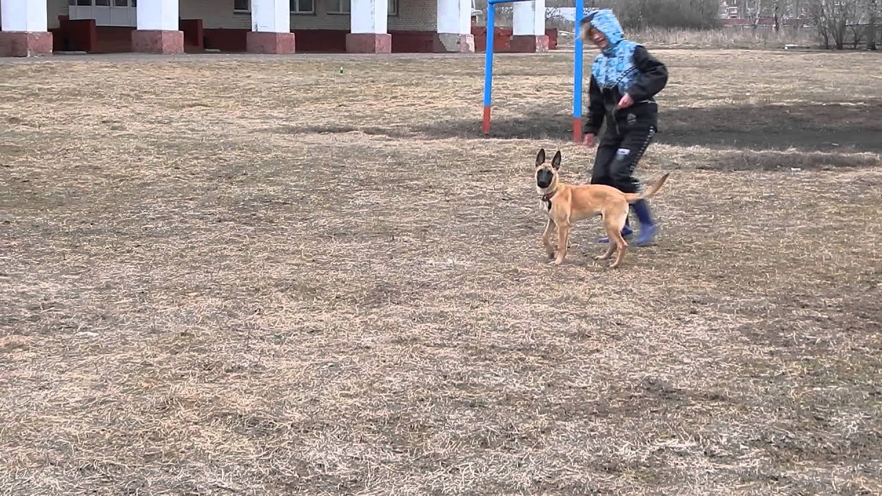 DSCN1319