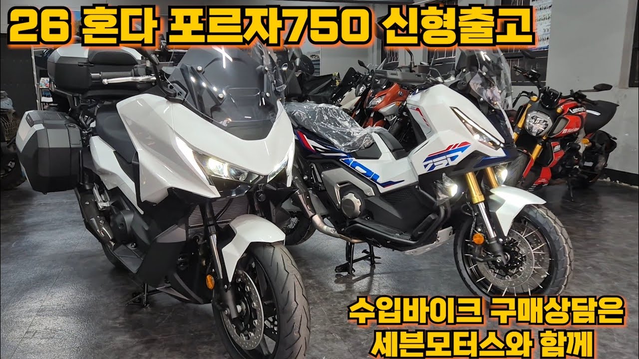 2026년 포르자750 신형 화이트컬러출시 수입바이크 전문매장 #세븐모터스 #바이크판매 #바이크구입 #위탁판매#오토바이판매 #혼다신차구입 #forza750 #xadv750 