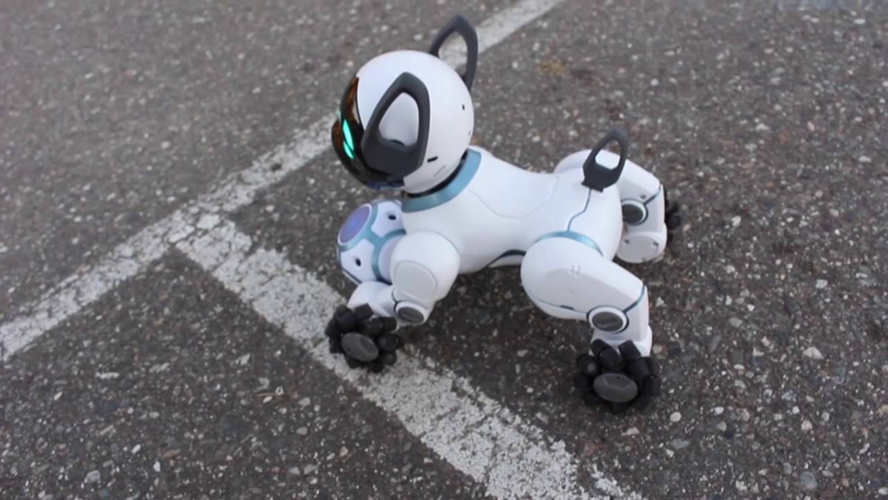 Wowwee Chip Robot Dog Blogger Review