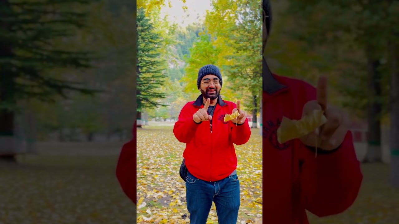 Vlog4 Naran Kaghan Mufta Dinner Autumn ptdc motel 🏨 Pakistan Travel & Tours