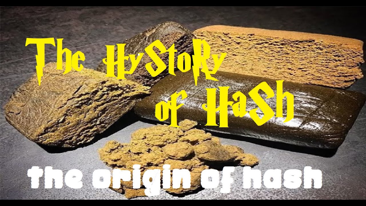 The Origin Story Of hash, The History Of Hashish, #hash #History #lessions #learning #cannabisclass