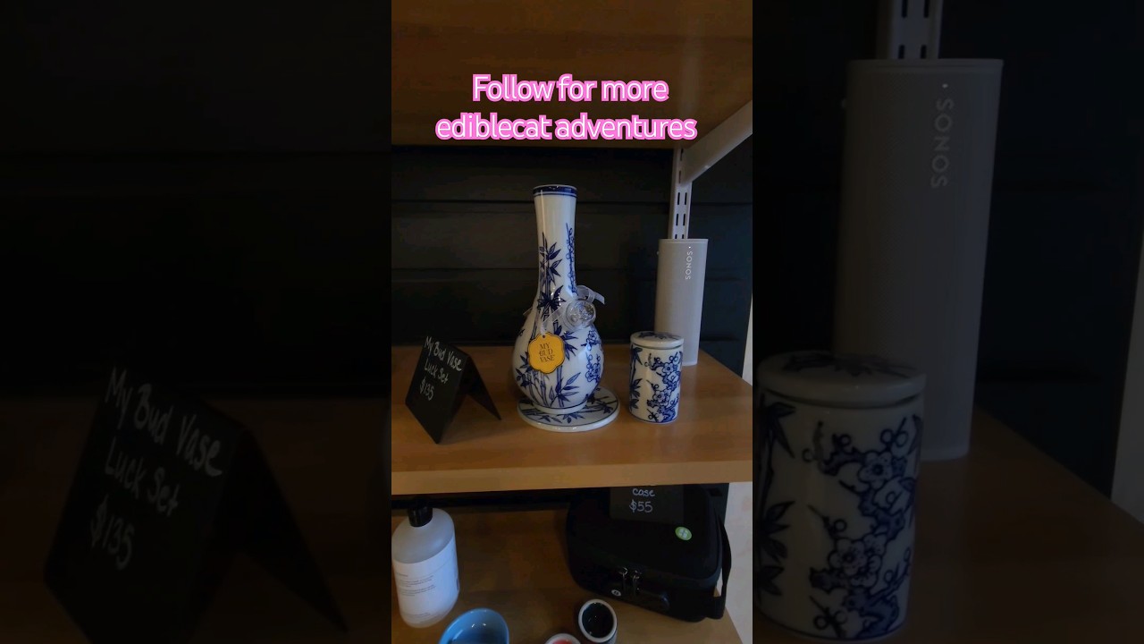 #new #dispensary #walkthrough  #review #newjersey #2024 #edible #cat #destination