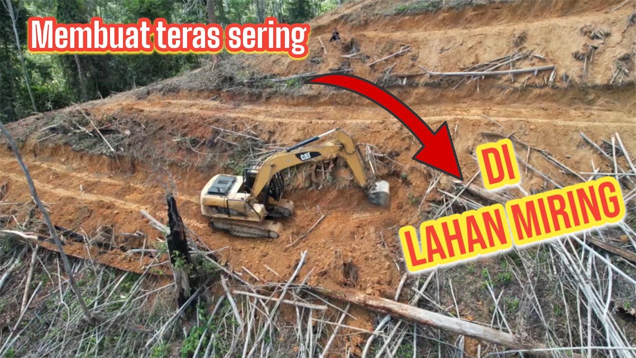 Membuka lahan perkebunan durian dengan alat berat excavator dan Dozer