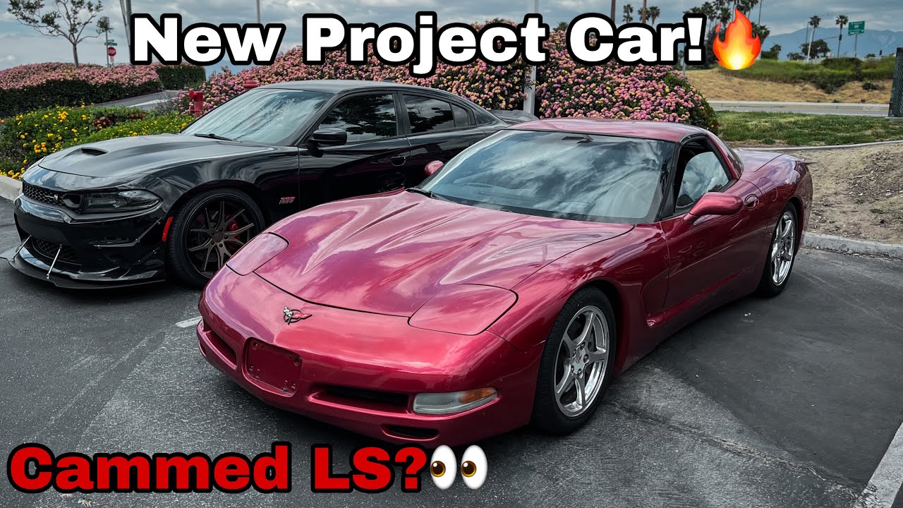 Buying A C5 Corvette! New Car For The Channel! #Chevrolet #Corvette #C5