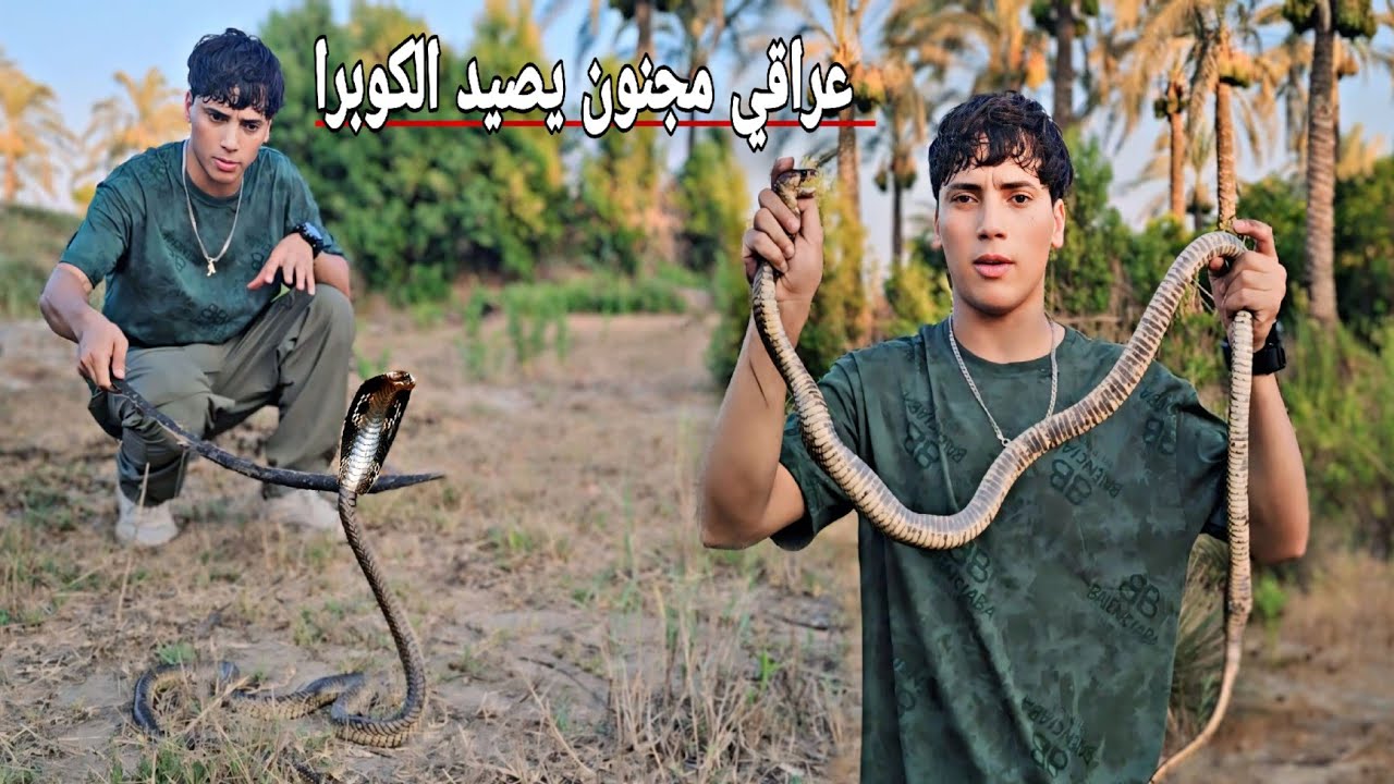 الذيب العراقي يصطاد اخطر كوبرا في مصر _رشيد Egypt_Rashid