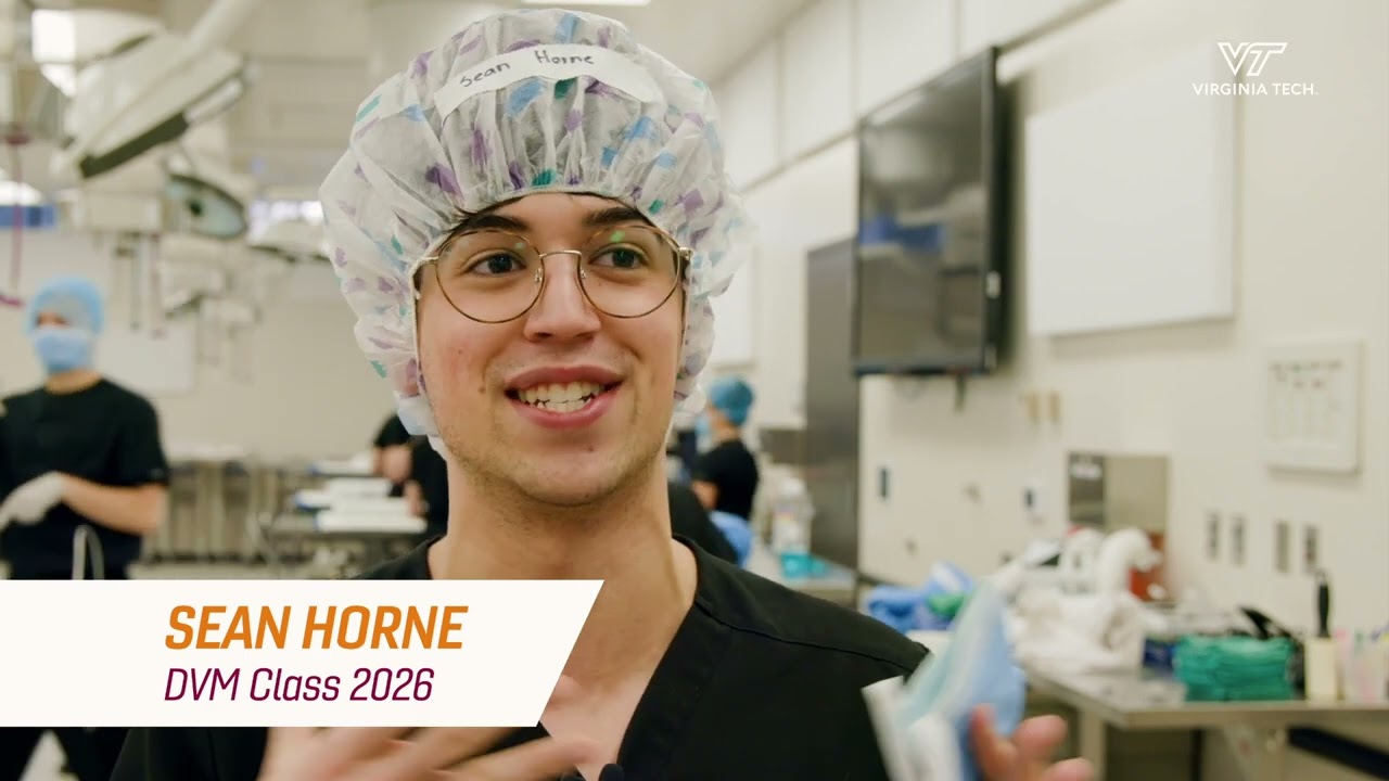 Second-year Doctor of Veterinary Medicine students navigate practicing sterile surgery procedures.
