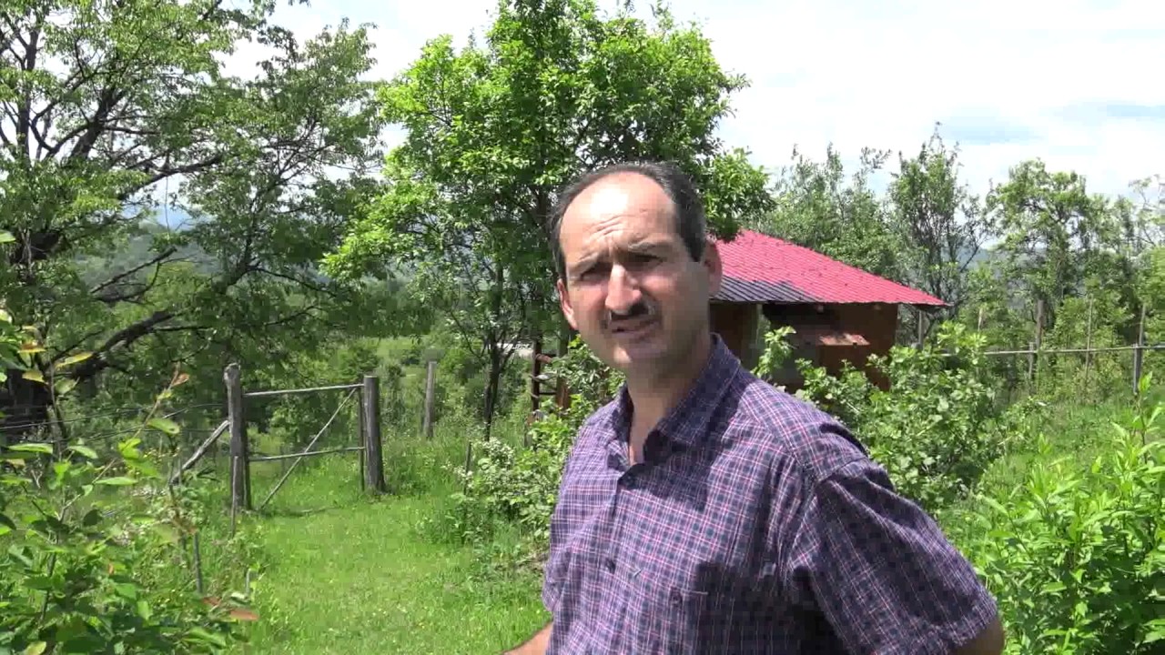 Principii de grădinărit la munte