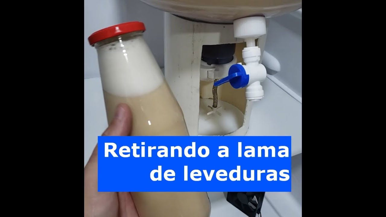 Retirando a lama de leveduras - Galão Cônico 20 litros