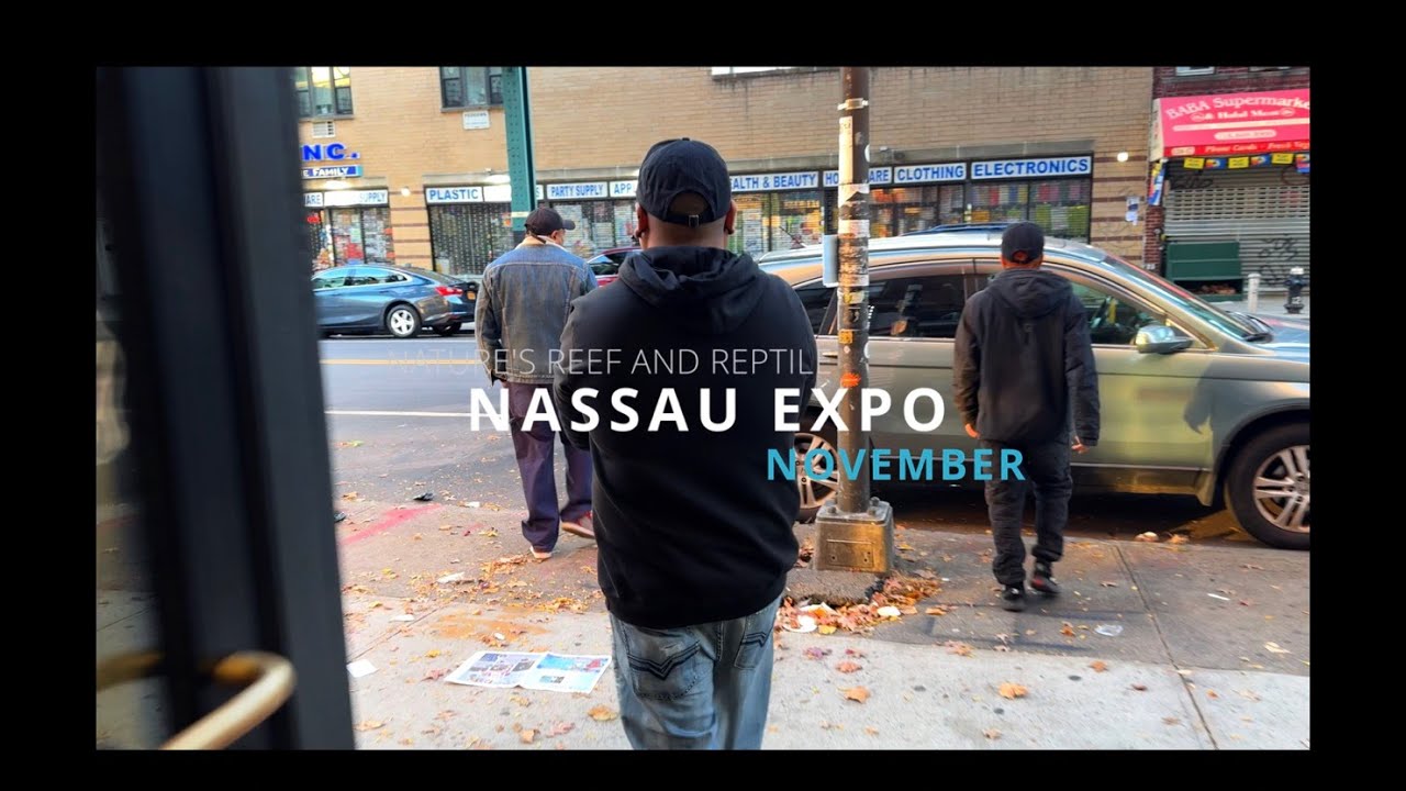 Our VERY FIRST Reptile Expo!! || Nassau County Reptile Expo 2023