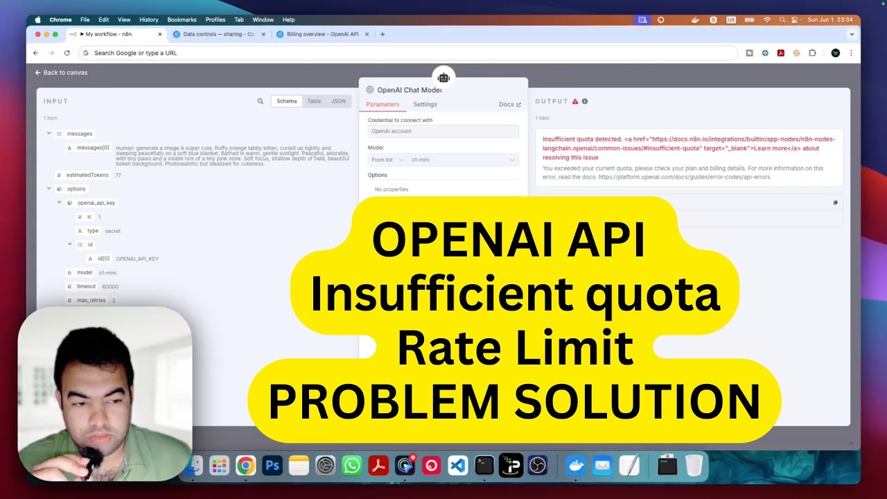 Open AI API Insufficient Quota detected Rate Limit Problem Solution 2025
