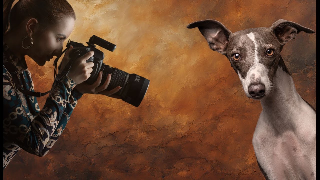 Mastering Studio Lighting for Dog Photography