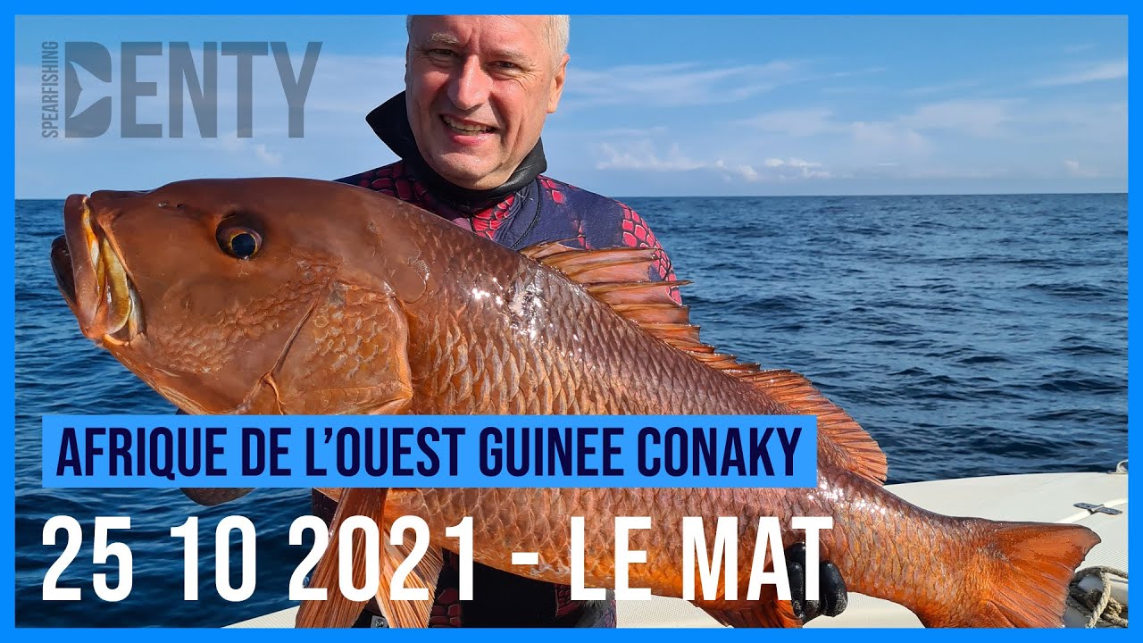 Chasse sous-marine en Guinée Conakry Au Guinea Fishing Camp 2021