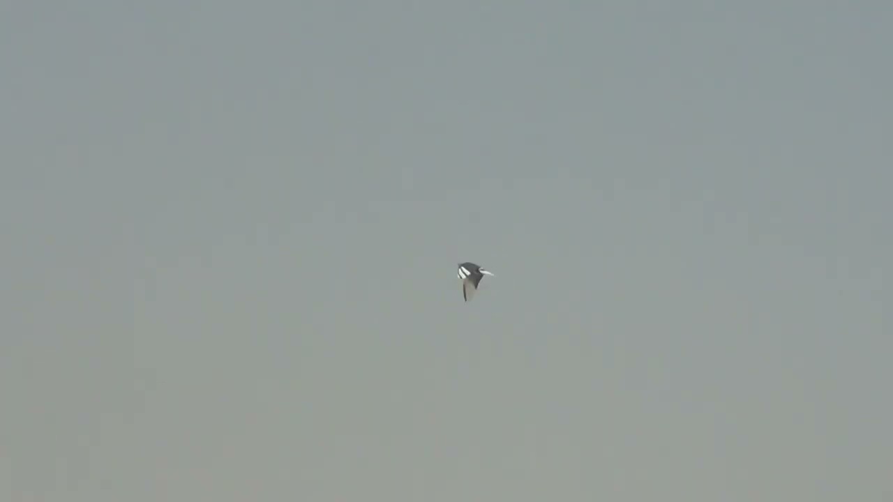 الغنديييه