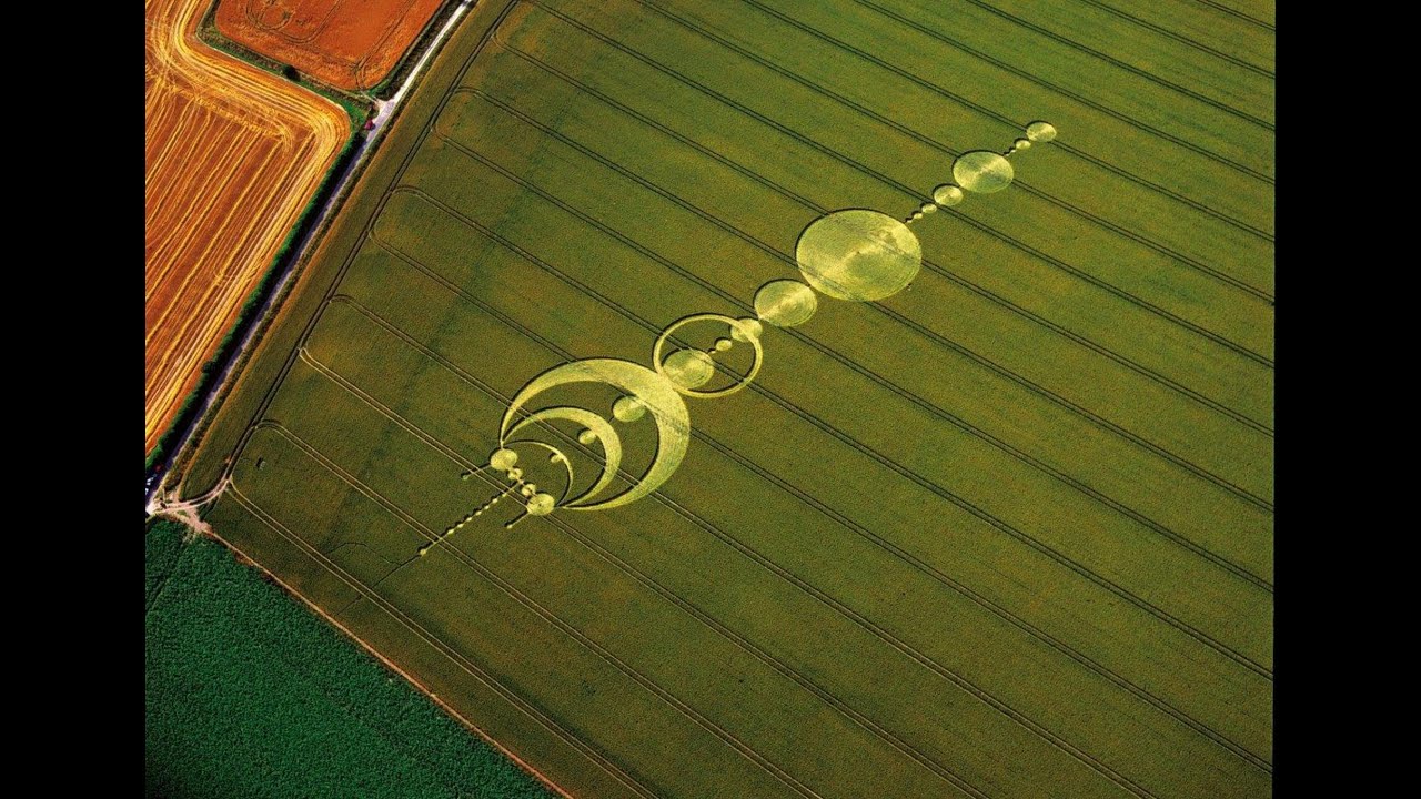 L'ENIGMA DEI CERCHI NEL GRANO - MESSAGGI DALL'IGNOTO