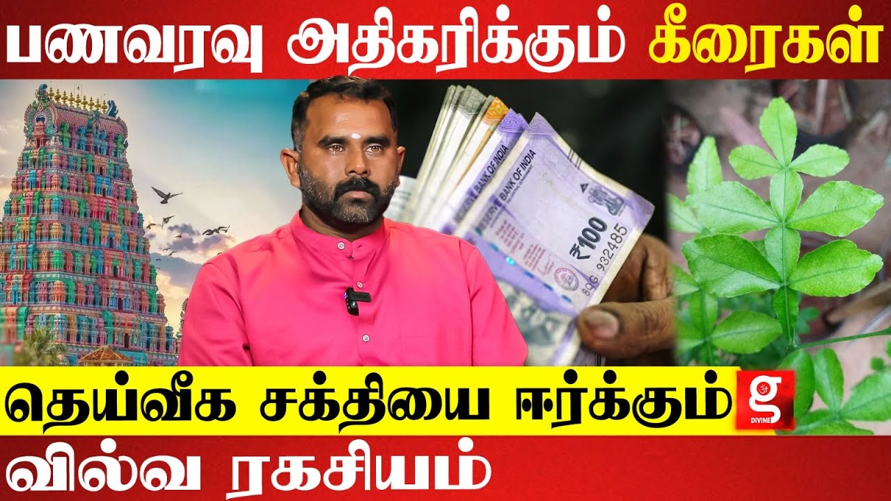 அசைவம் சாப்பிட்டு விட்டு கோவில் செல்லலாமா ? | Mooligai Siddhar Mani Murugesan | Cash Flow Attraction