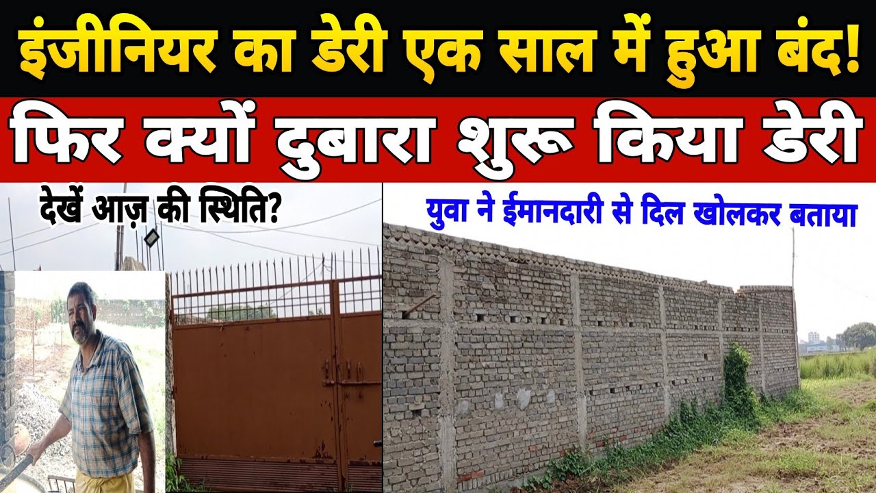 इंजीनियर का डेरी 1 साल में हुआ बंद, फिर दुबारा शुरू किया डेरी/dairy farm bihar/dairy farm danapur ||