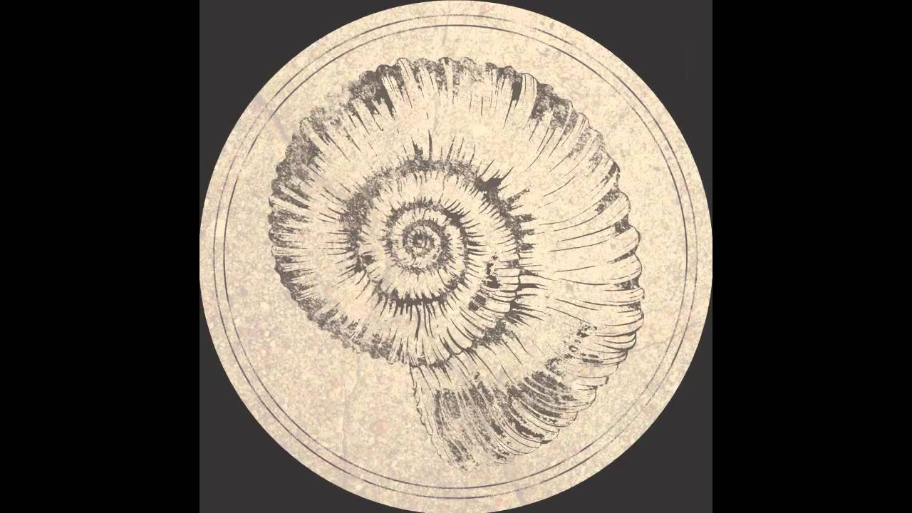 Roberto - Tiziani [Fossil Archive 003]