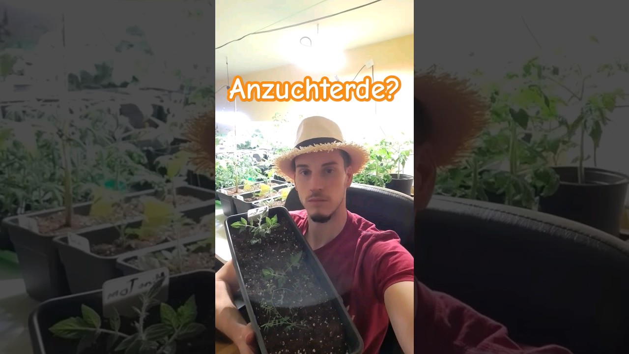 Welches Substrat f&uuml;r die Anzucht? #chili #anzucht #erde