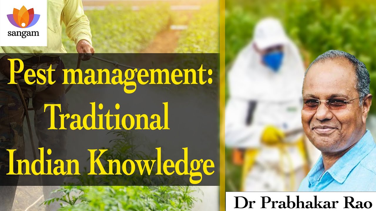 Pest management: Traditional Indian Knowledge | Dr Prabhakar Rao | #sangamtalks