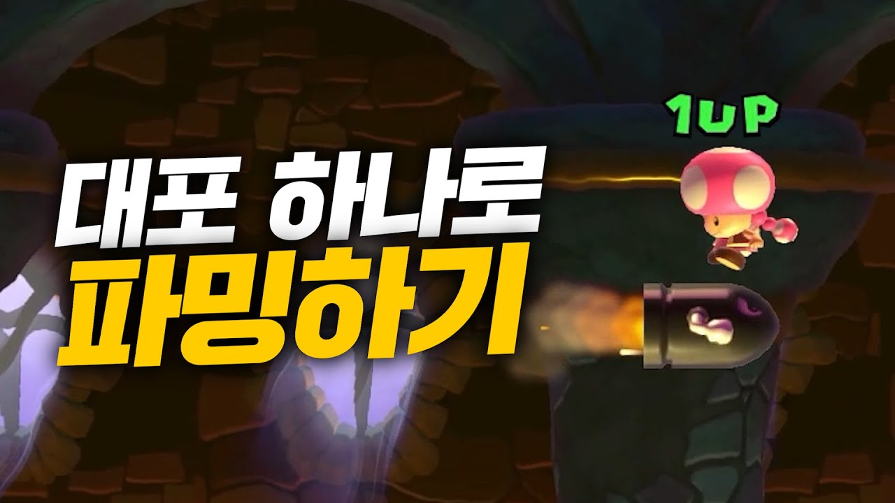 니선생악깡버