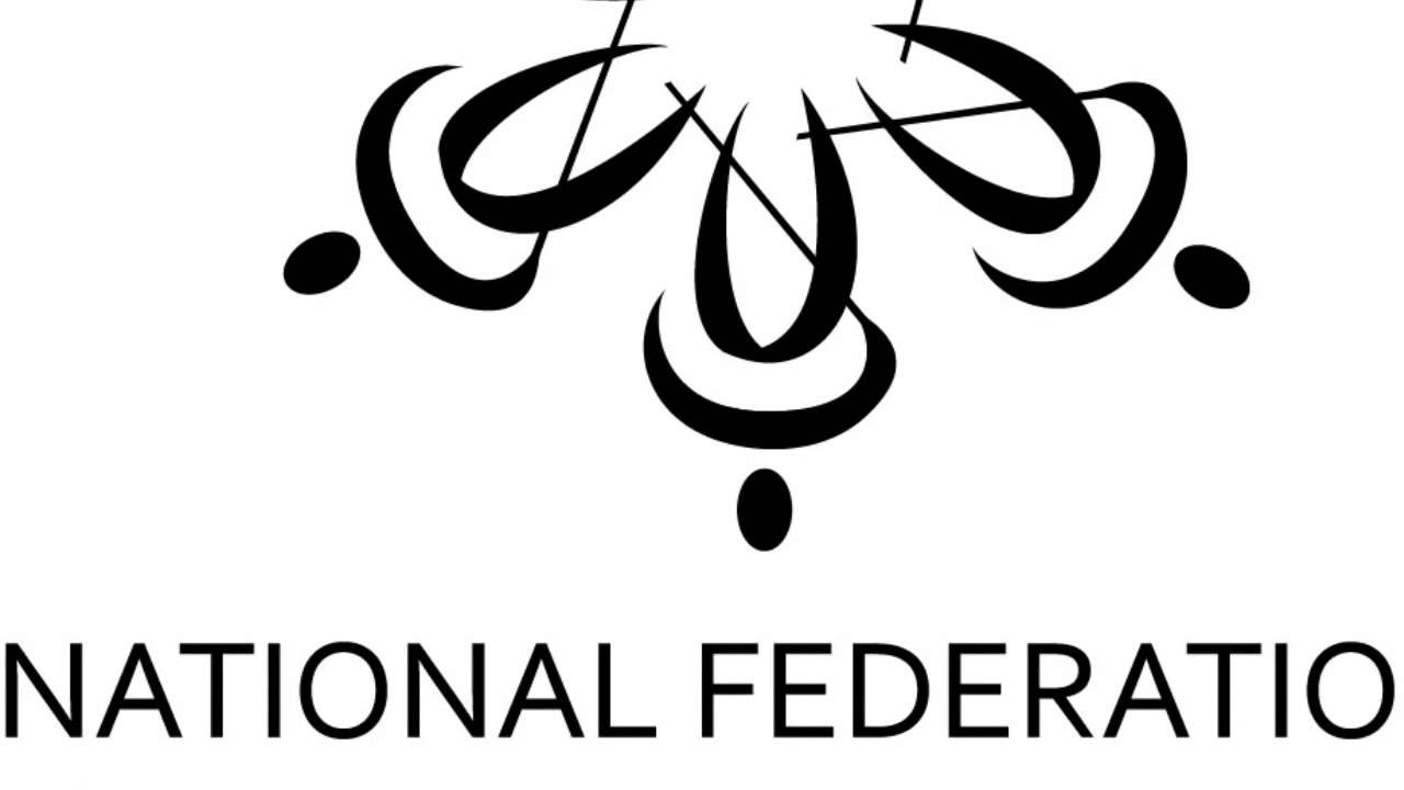 How easy it is for Blind People to Use Uber transportation  National Federation of the blind of Virg