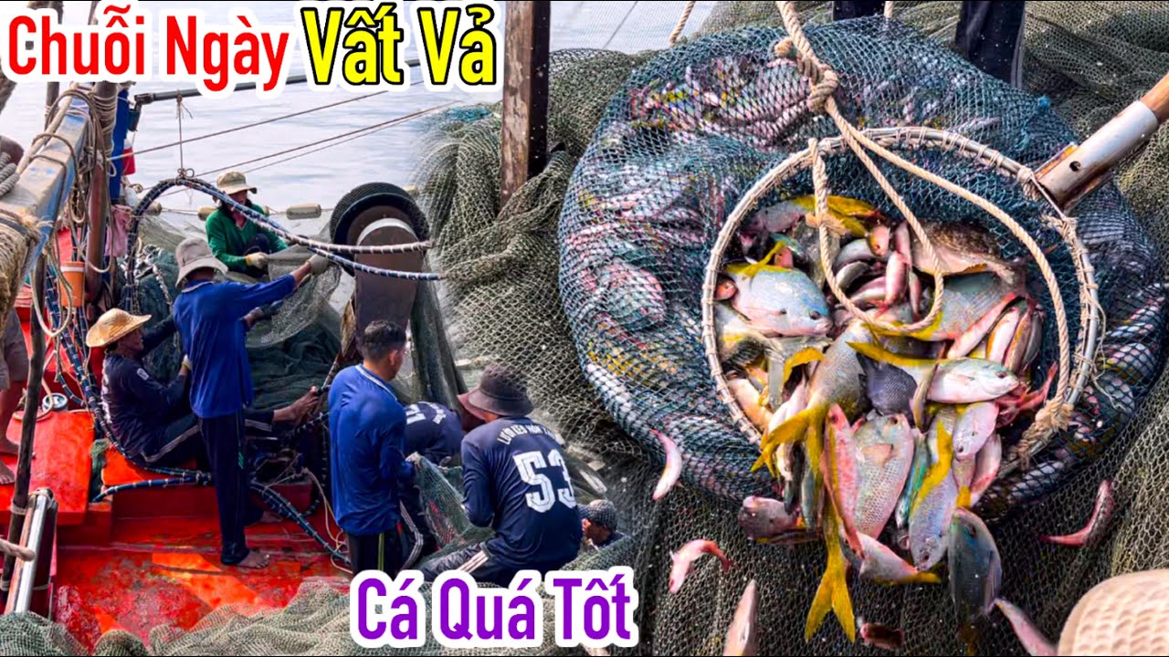 Lưới Bao Rạn 25 | Cái Nóng Gay Gắt Của Tháng 3 | Vác Lưới Toàn Cá Hệ | Sơn Phú Quốc