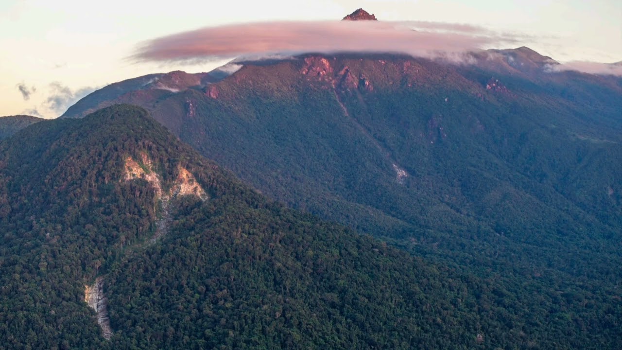 Exploring the Thornton's peak region FNQ Eastern Kuku Yalanji country. I had 2 hours to do it. 