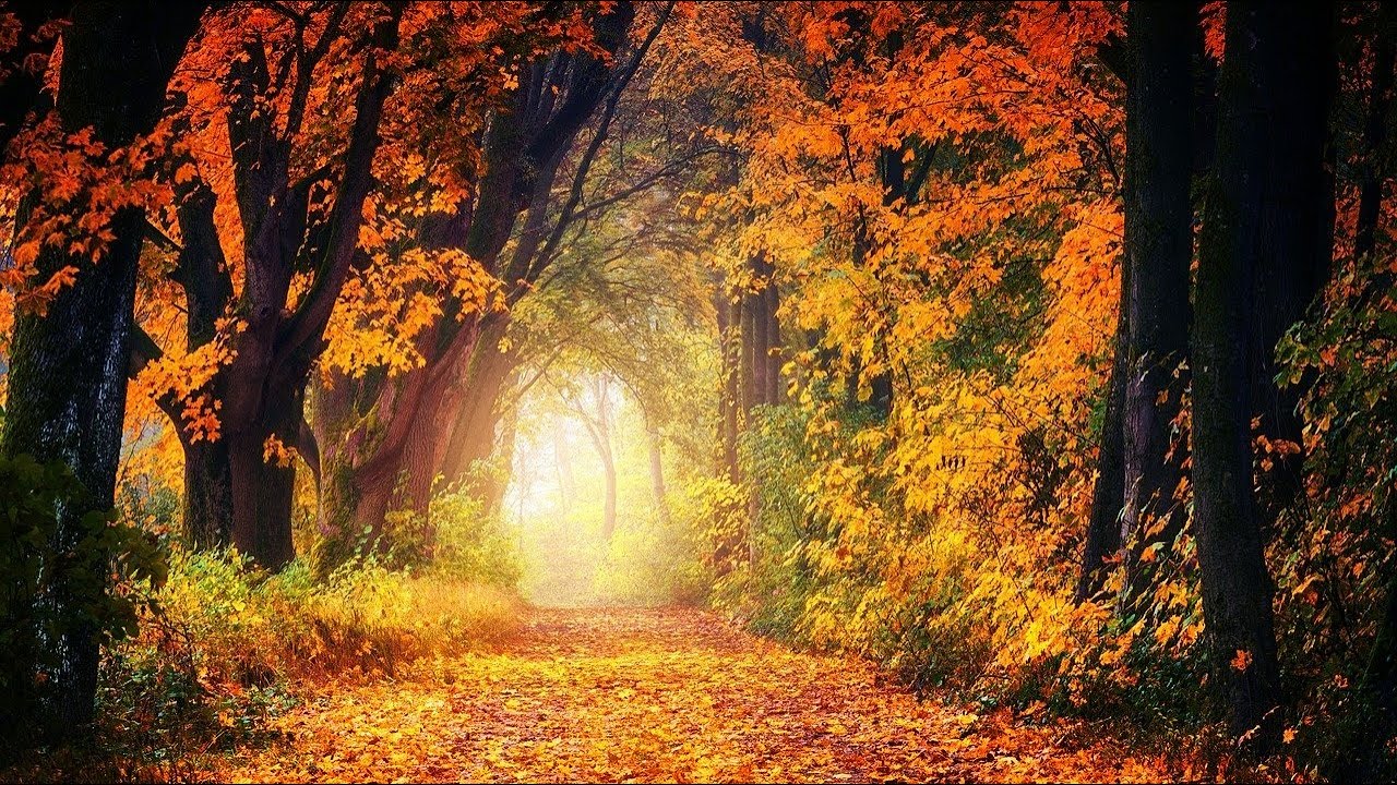 Gerald Finzi - The Fall of the Leaf - Elegy for Orchestra.