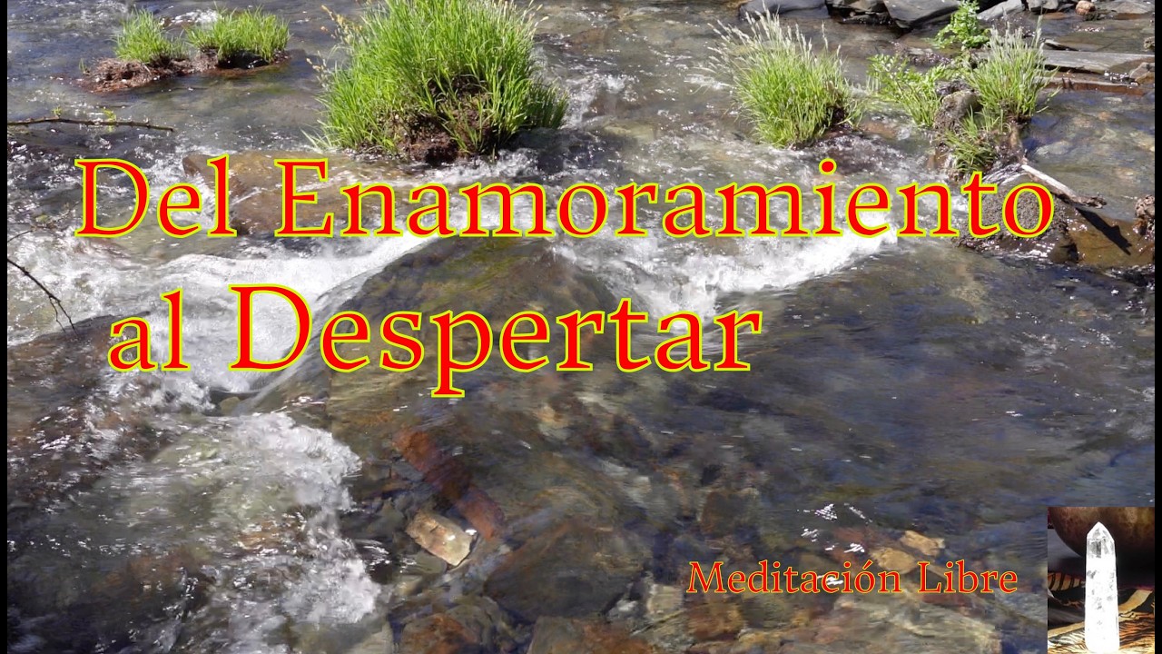 Del Enamoramiento al Despertar