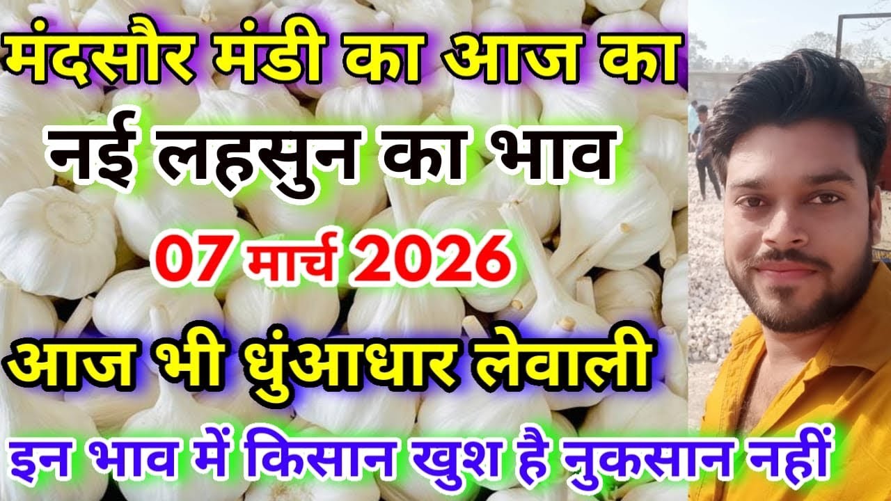 लहसुन में आज भी रही जोरदार धुंआधार लेवाली🔥| Aaj Ka Lahsun Ka Bhav | Lahsun Ka Bhav Aaj Ka 