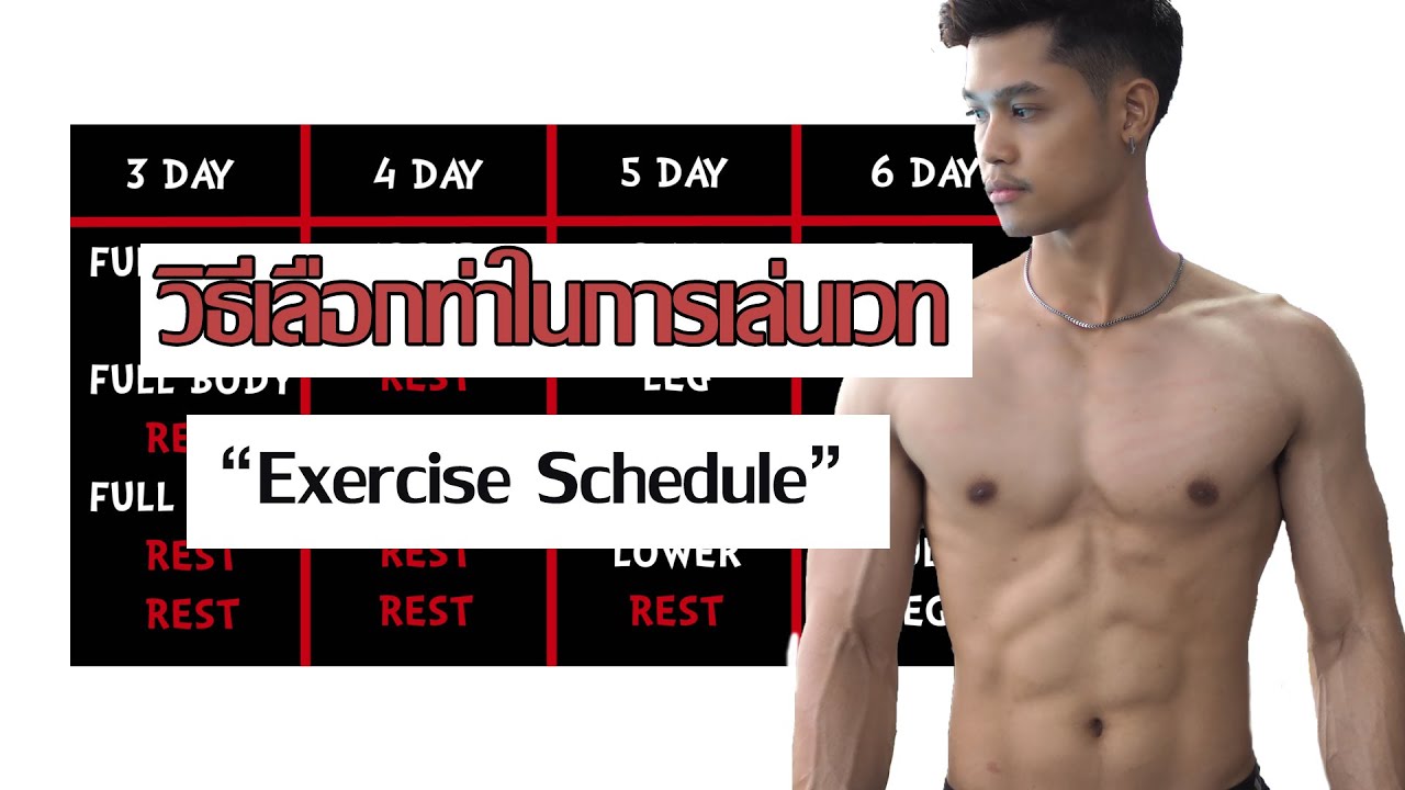 วิธีเลือกท่าในตารางเล่นเวท [Exercise Schedule]