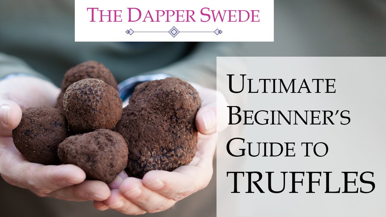 Ultimate Beginner's Guide to TRUFFLES!