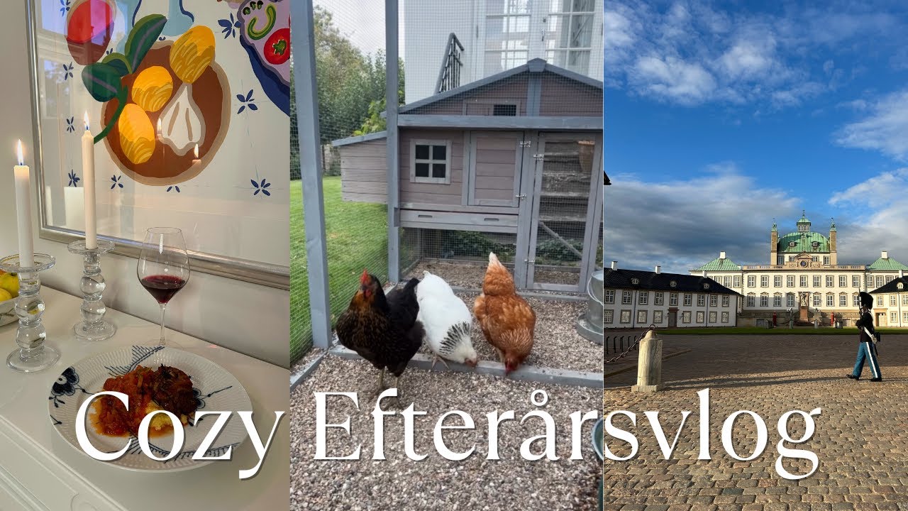 Cozy Efterårsvlog | Passer høns, laver mad & ny info om a-vitamin til anti-aging!