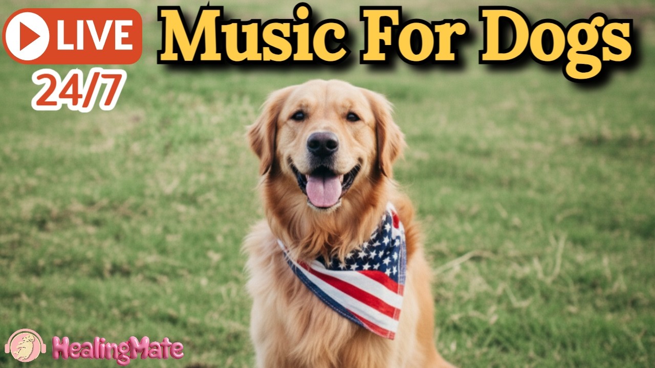 🔴Dog Music🎵🐶Calming Music for Dogs🐶Dog Stress Relief & Sleep Music🦮Music to Help Dogs Sleep🔴5