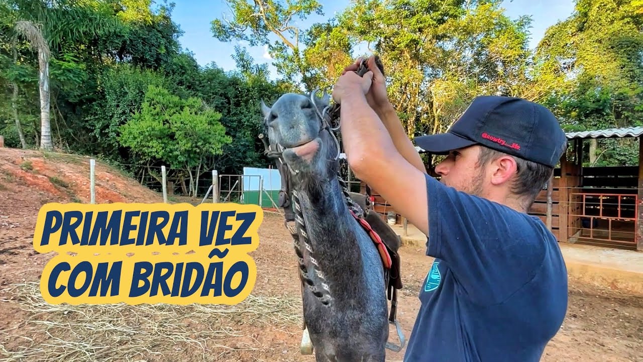 1 PASSO PARA O CAVALO FICAR COM A BOCA LEVE