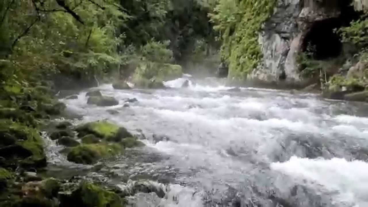 ,,IZVOR  SANICE,,
