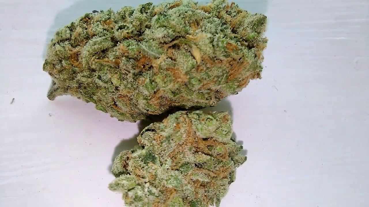 Lime Skunk