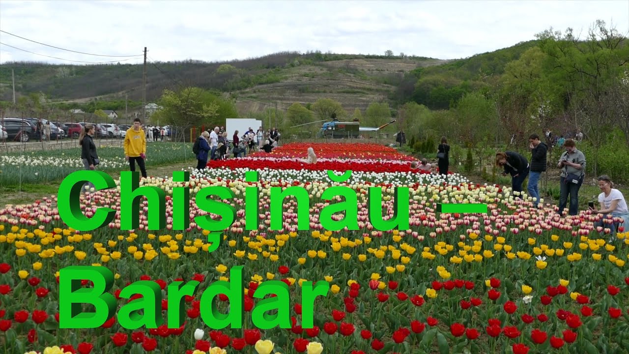 Chișinău - Bardar
