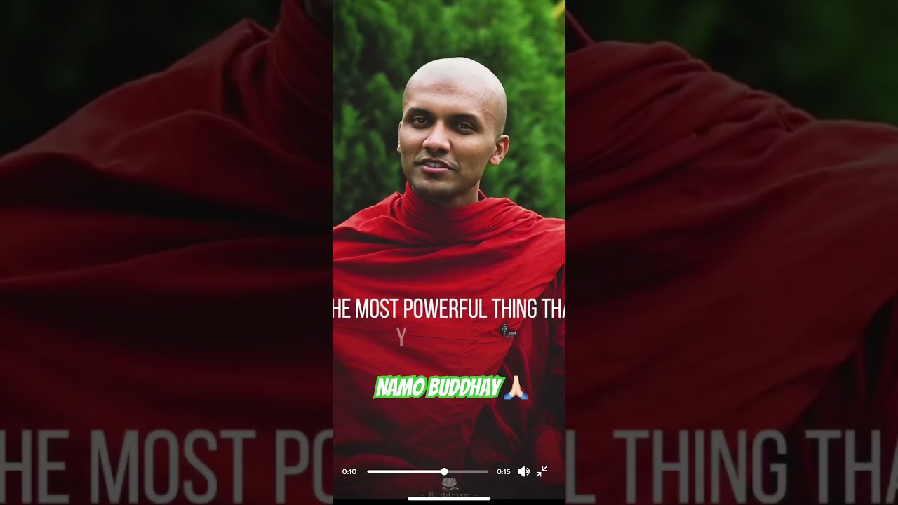 2 reasons why not to WASTE your WORDS || Namo Buddhay || #viralmotivation