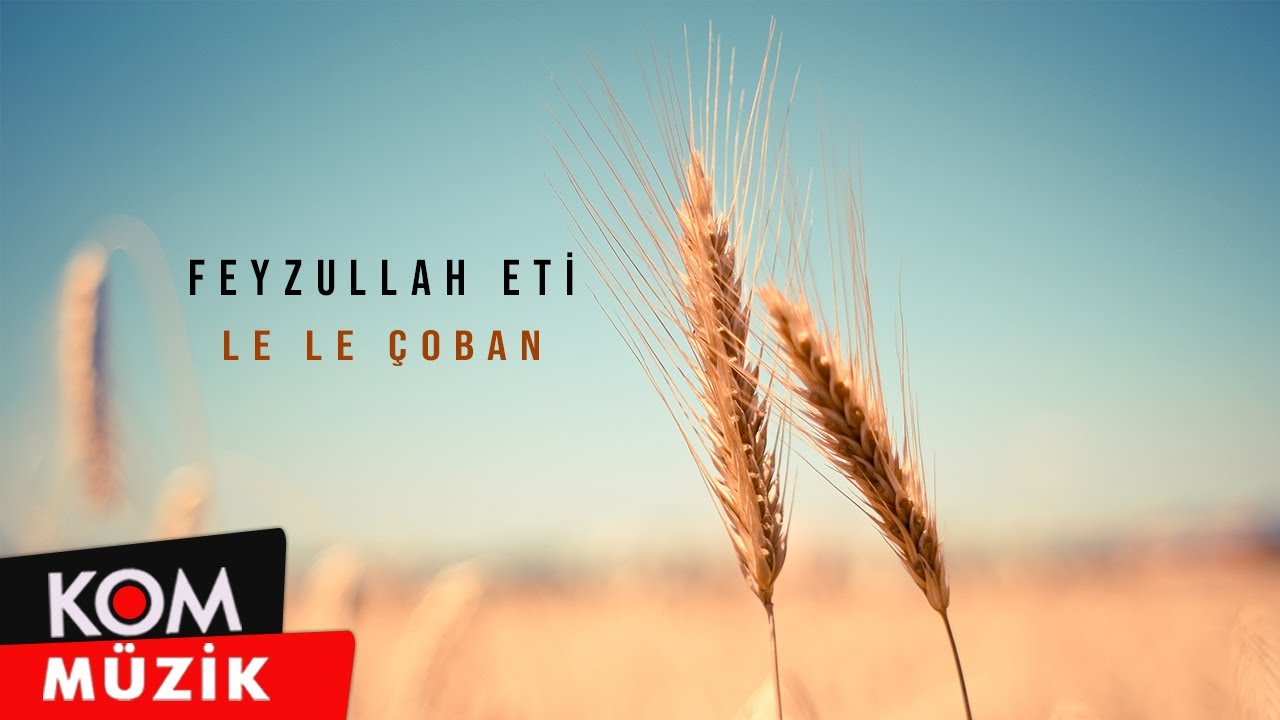 Feyzullah Eti - Le Le Çoban (Official Audio)