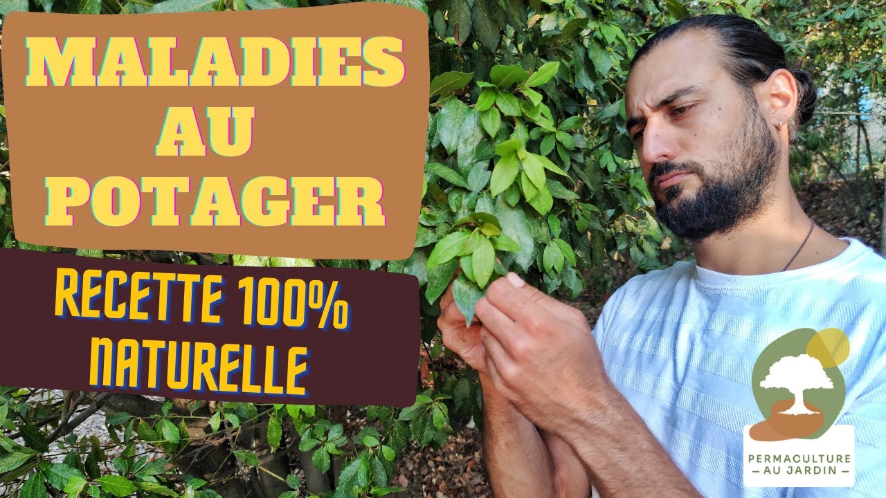 ➡️ Recette facile anti-maladies au potager 100% naturelle! 🌱