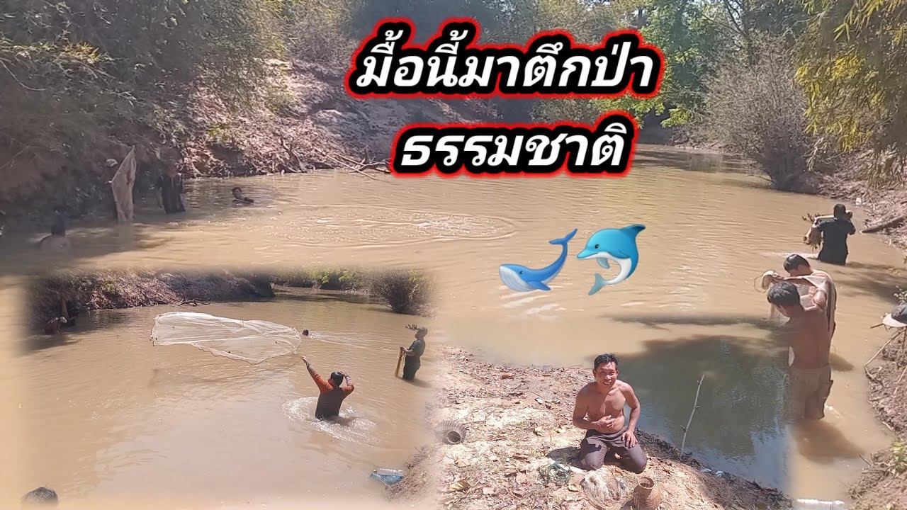 11 หากินแบบธรรมชาติ อยู่บ้านเฮา กุมภาพันธ์ ค.ศ. 2026