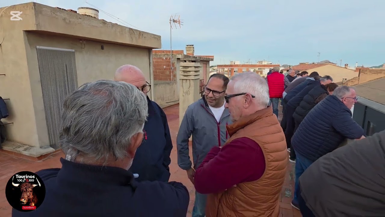 QUARTELL ( V ) 20-12-2025 DOS TOROS CERRILES DE ARAUZ DE ROBLES