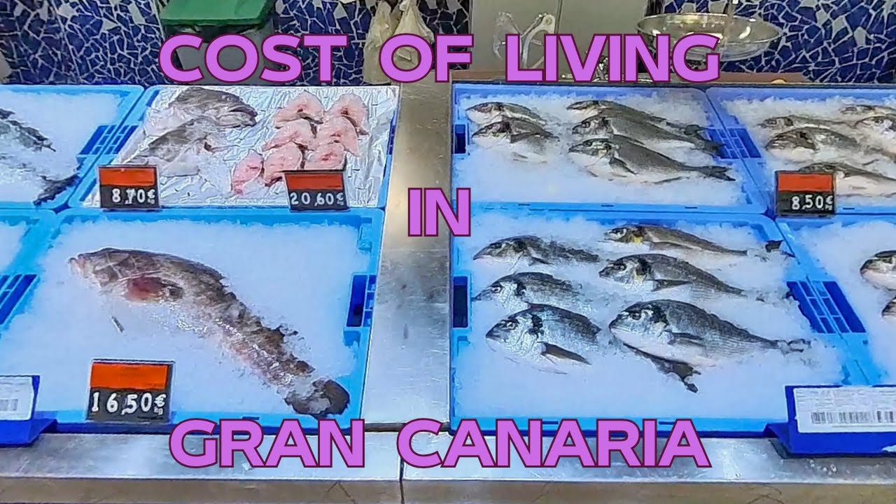 HOW MUCH DOES IT COST OF GROCERY SHOPPING IN GRAN CANARIA ISLAND?🥣 2023