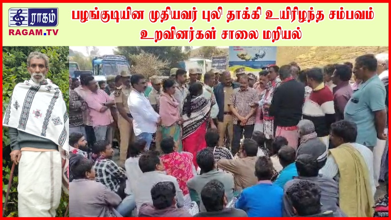 ஊட்டியில் பழங்குடியின முதியவர் புலி தாக்கி உயிரிழந்த சம்பவம் – உறவினர்கள் சாலை மறியல் | #RAGAMNEWS