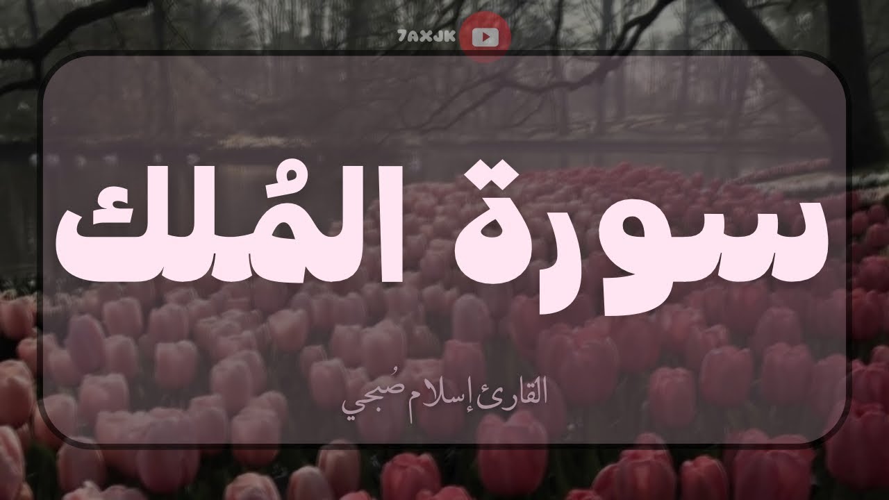 السورة المنجية من عذاب القبر🤍| 