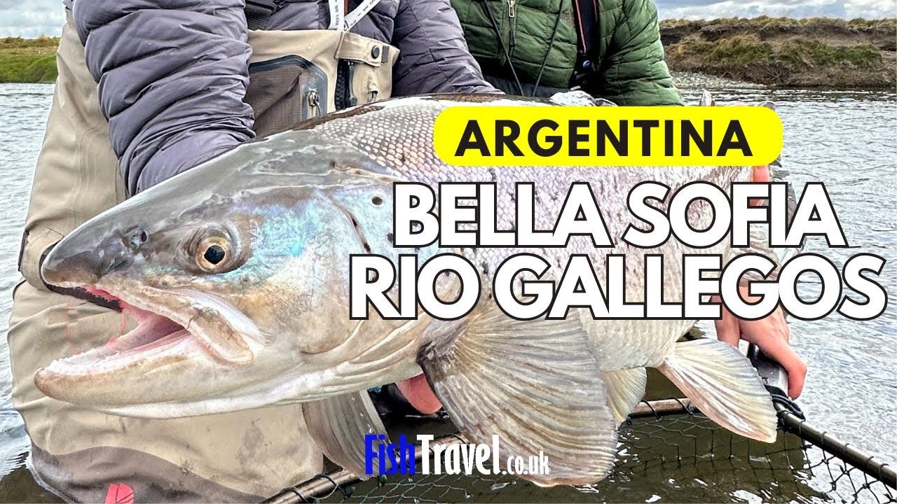 Sea Trout Fishing at Bella Sofia Lodge, Rio Gallegos, Argentina