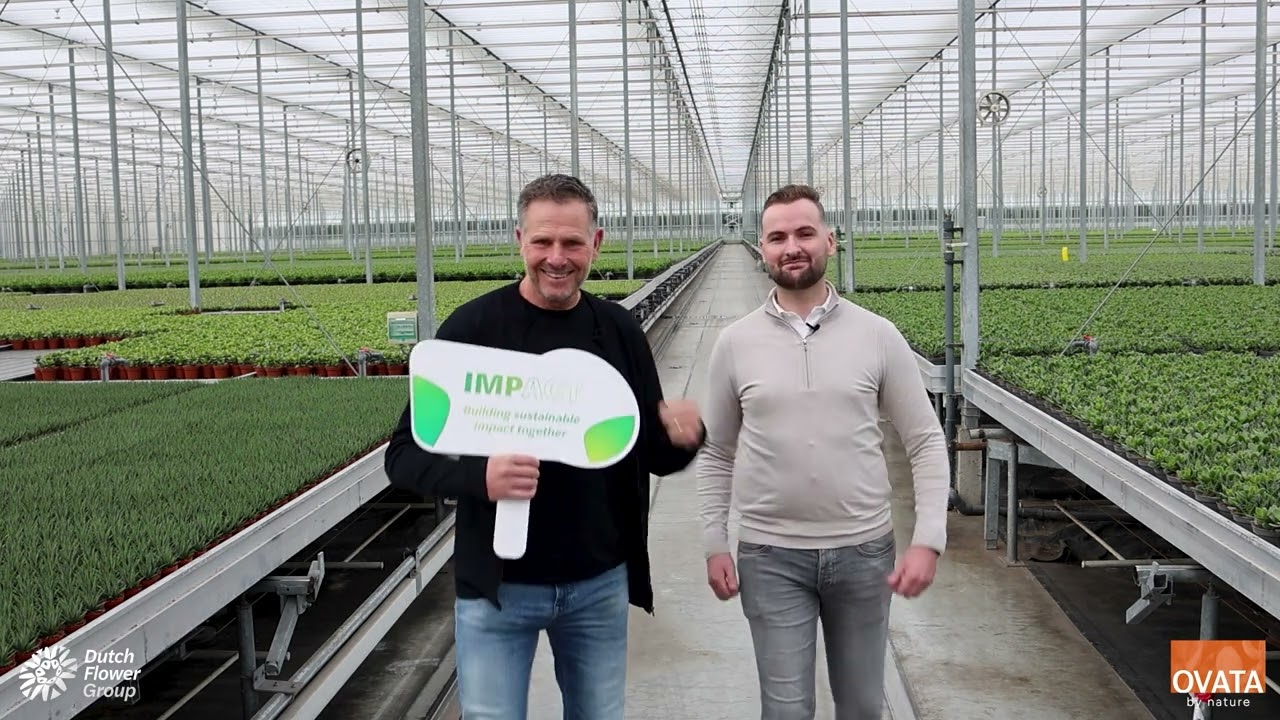 Dutch Flower Awards BP nieuws