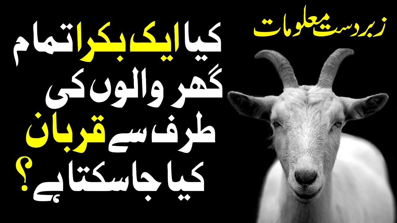 Eid ul Adha 2017 | Tamam Ghar Ki Taraf Se Aik Bakra | Qurbani Videos | Madani Channel